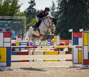 Picture for category Equine